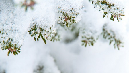 非师范生考教师证分专业吗